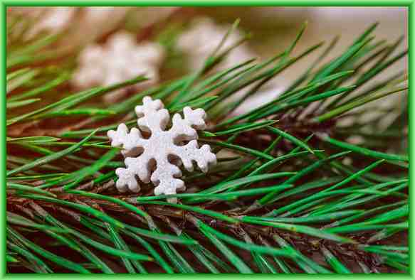 Christmas Tree Snowflake